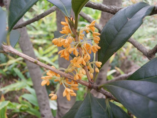 f0130894_2243277.jpg