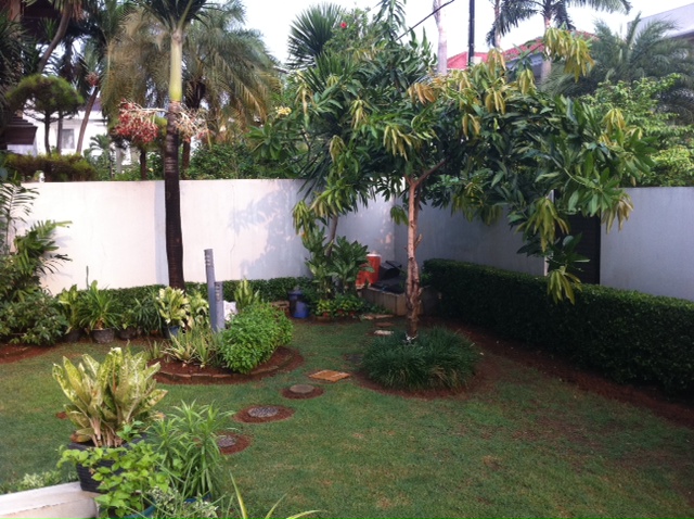 a0063997_6293089.jpg