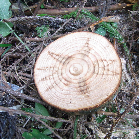 e0105898_13243572.jpg