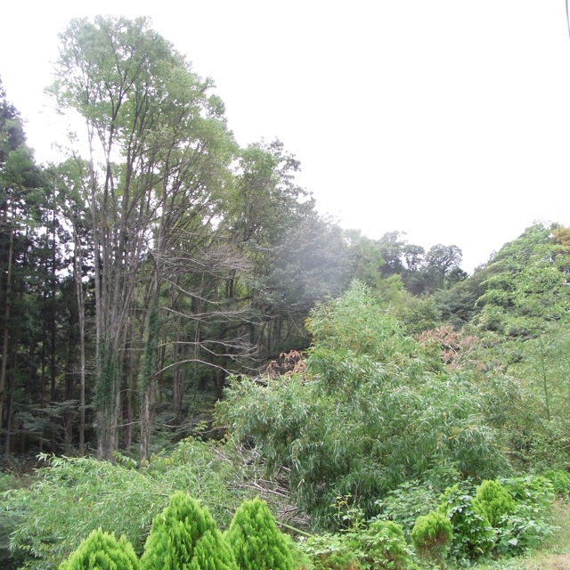 e0105898_13315895.jpg