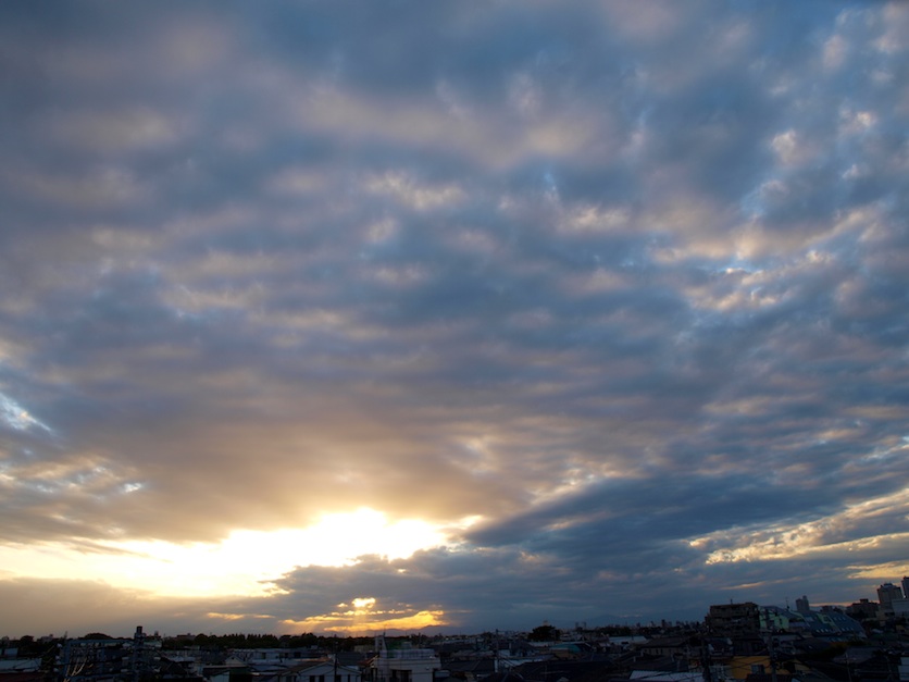 f0108399_17164954.jpg