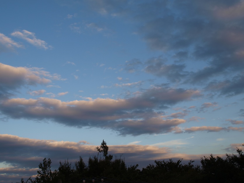 f0108399_1717086.jpg