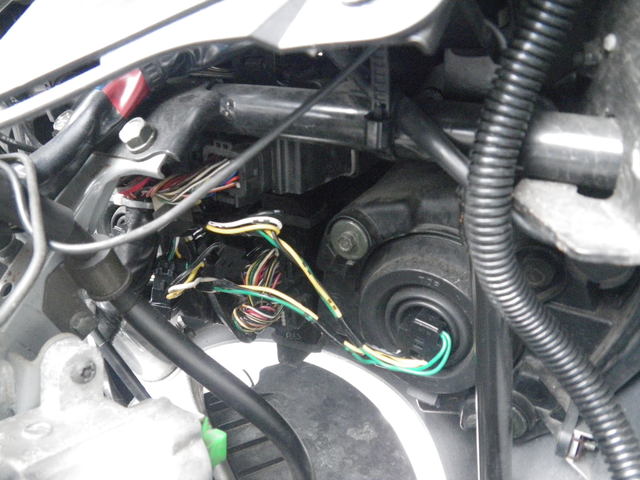 a0116205_14415247.jpg