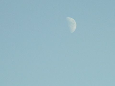 e0117805_20283037.jpg