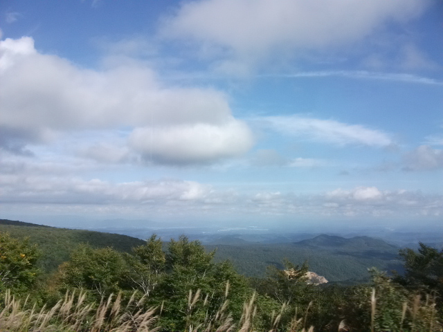 d0197317_1949524.jpg