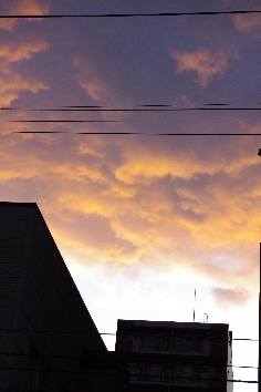d0212519_2019083.jpg
