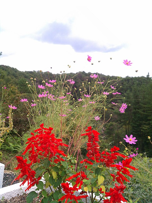 c0007822_9391322.jpg