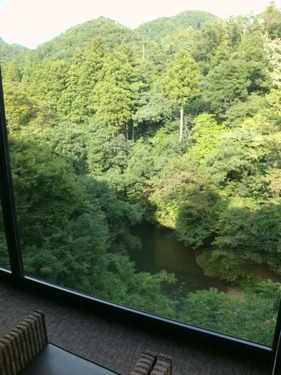 c0152123_920331.jpg