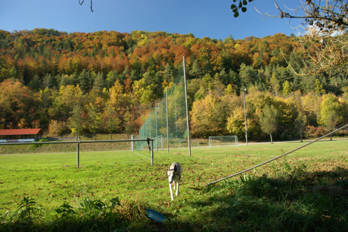 c0198524_6553717.jpg