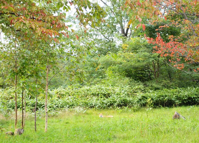 f0227228_1285119.jpg