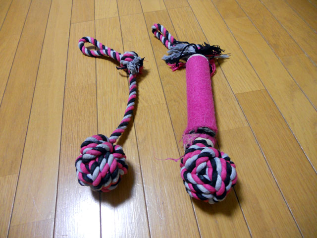 d0059230_8255495.jpg