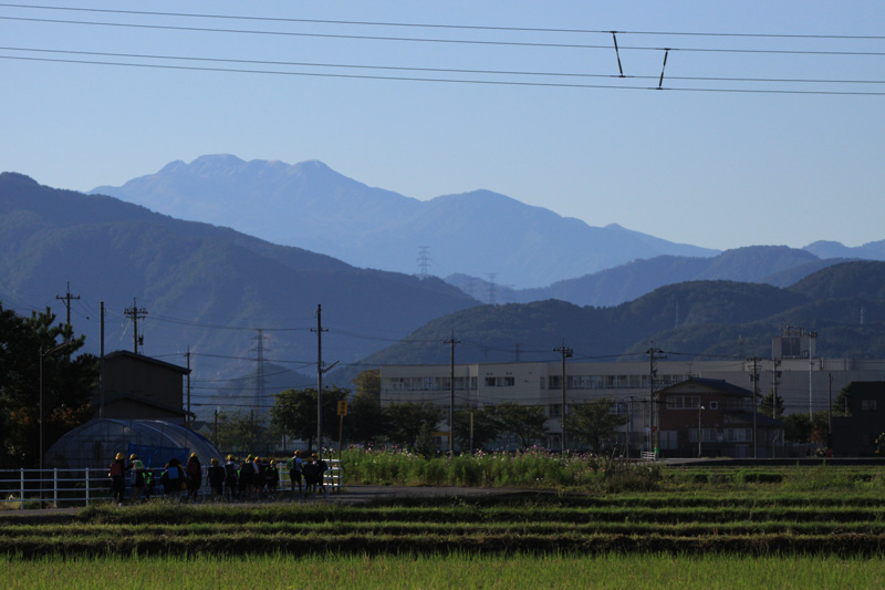 b0177233_126485.jpg