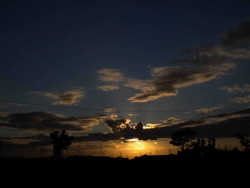 b0177233_544861.jpg