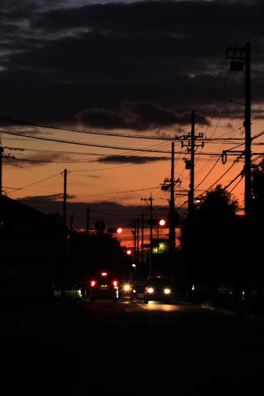 b0177233_592212.jpg