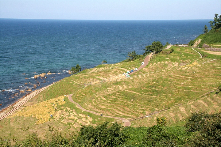 d0012134_1205538.jpg