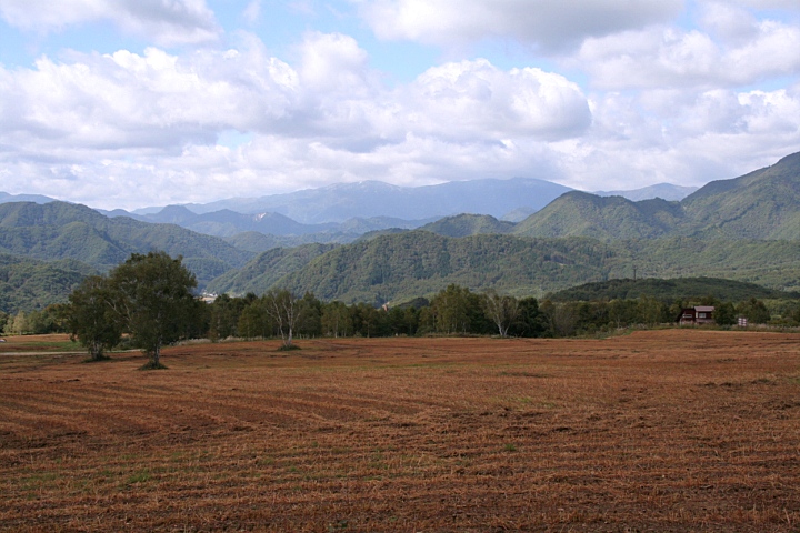 d0012134_1275898.jpg