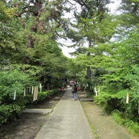 d0033734_10563762.jpg