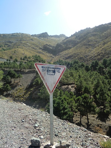 c0170236_17203411.jpg