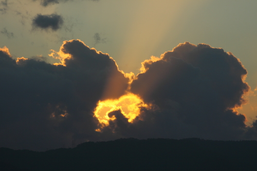 b0006537_21124599.jpg