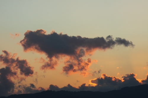b0006537_21124888.jpg