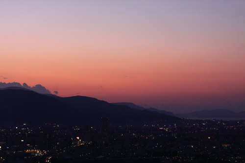b0006537_21125866.jpg