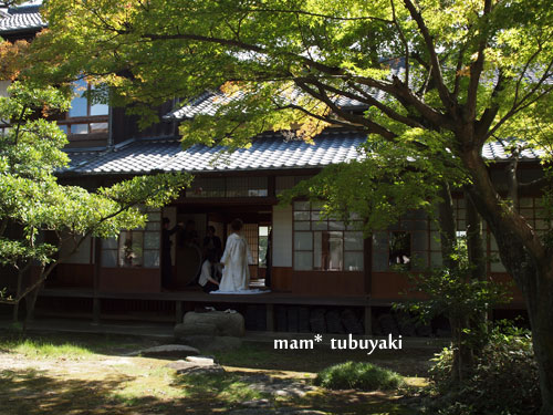 e0081339_16325869.jpg