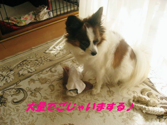 a0149240_871356.jpg
