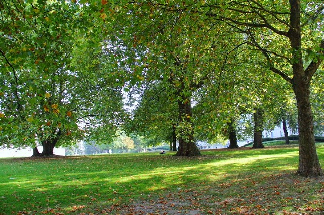 c0153740_5103212.jpg