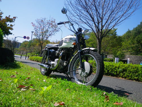 d0252642_2152541.jpg