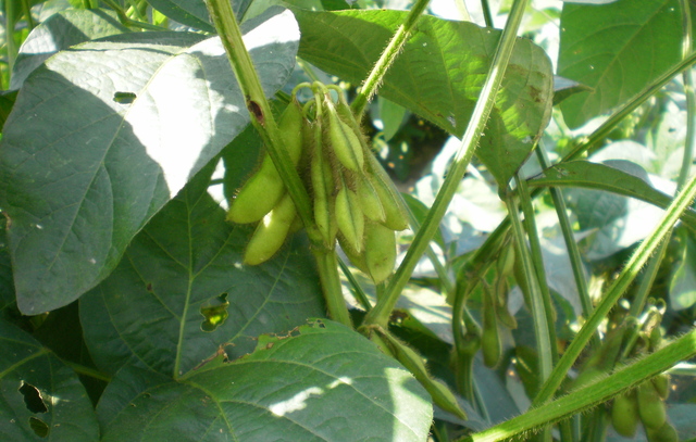 e0224842_15343624.jpg