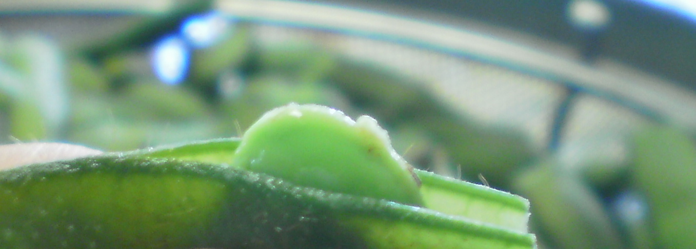 e0224842_15402933.jpg
