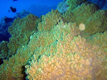 f0014842_19132711.jpg