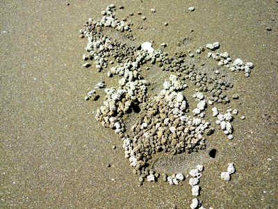 d0039443_12542767.jpg