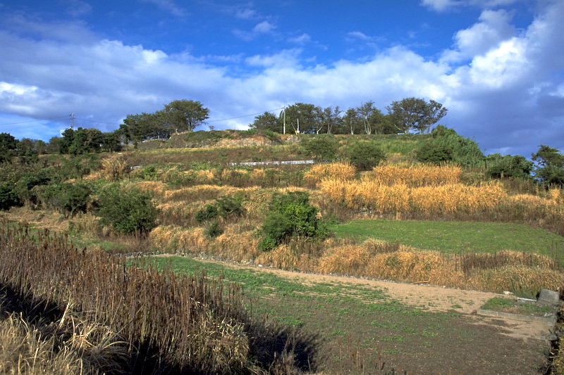 e0195345_2314574.jpg
