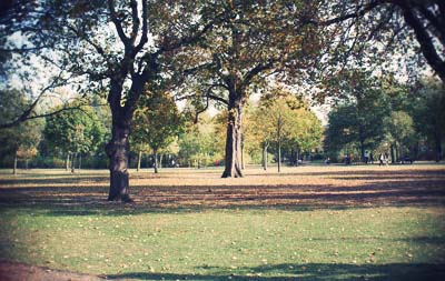 e0194046_4471017.jpg