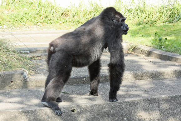d0227252_1839514.jpg