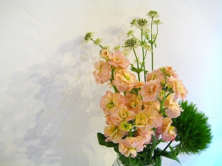 f0211463_16563046.jpg