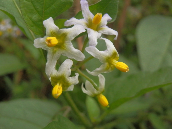 c0042869_21221010.jpg