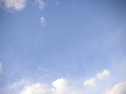 b0175571_2330411.jpg