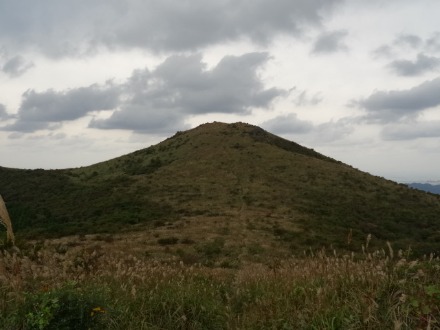 d0226273_19455859.jpg
