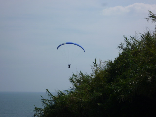 a0043276_4444733.jpg