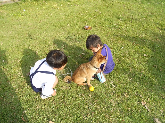 d0143678_21512832.jpg