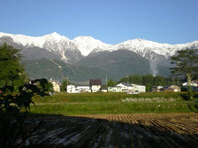 e0014678_2040079.jpg