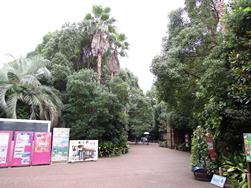 d0217979_20521152.jpg