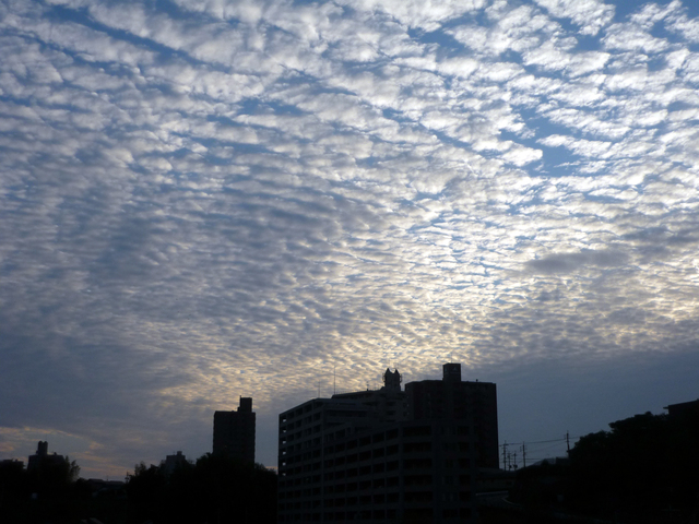 c0125283_21222496.jpg