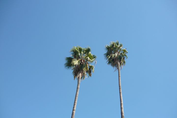 b0202185_1720756.jpg