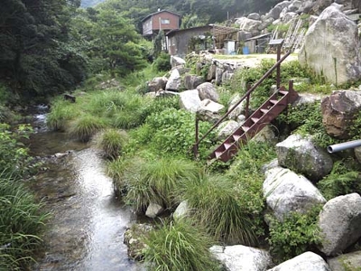 b0075888_910528.jpg