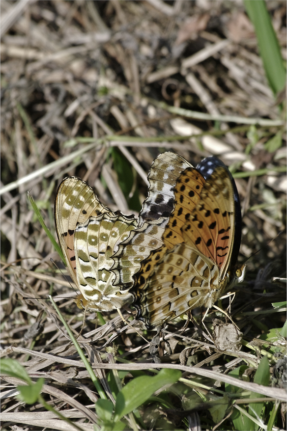 d0209988_1953545.jpg