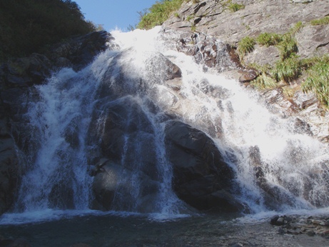 c0018489_239292.jpg