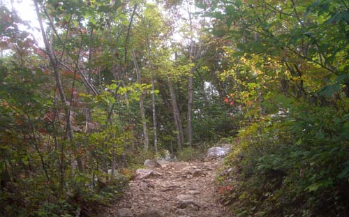 b0099994_11441664.jpg